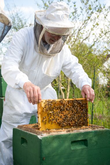 Kdy a jak chodit do včel