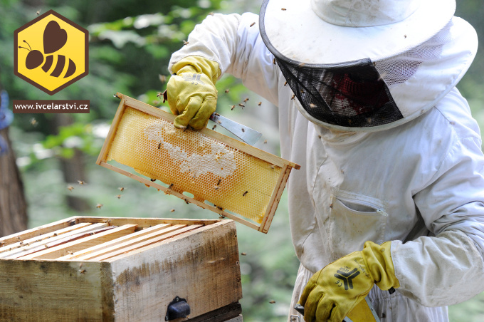 Bezpečnost ve včelařství