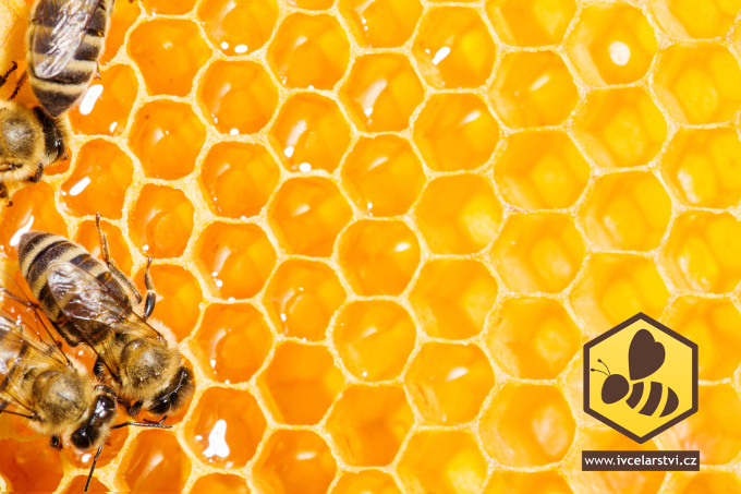Zkapalňování tuhého medu