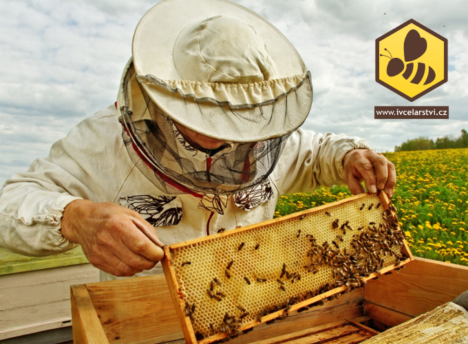 Přínosy včelařství pro potravinářský, kosmetický a farmaceutický průmysl
