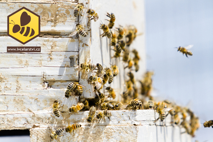 Zateplený včelí úl, nebo úl bez za teplení