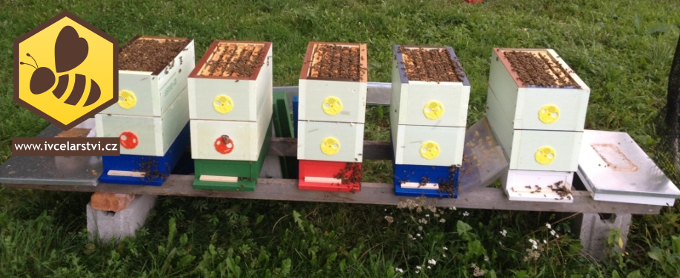 Nejčastější způsob vytvoření nového včelstva - oddělky na 6 rámcích