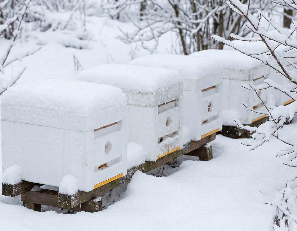 Květen na včelnici