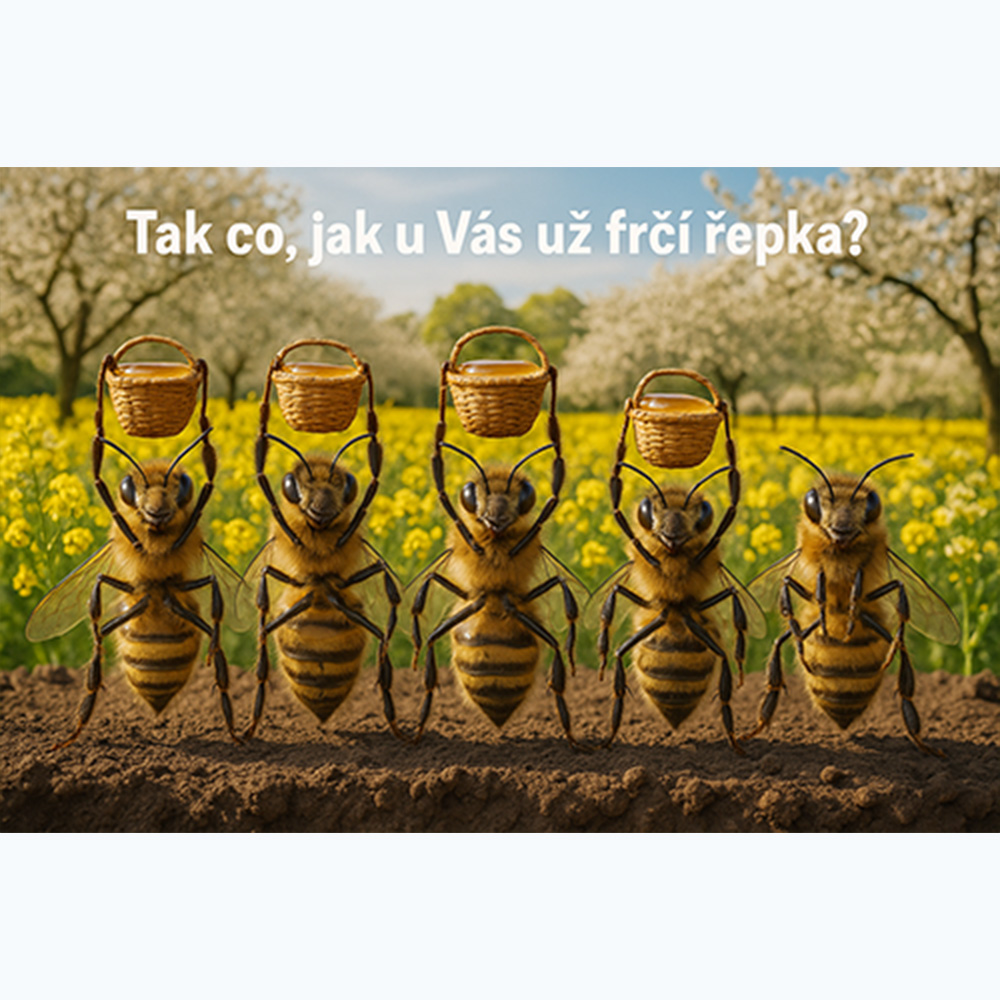 Výroba svíček