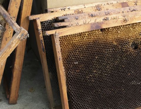 Listopad v úlu – včely se stahují do zimního chomáče