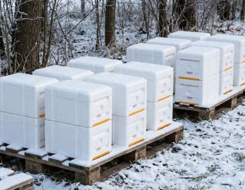 Zimování v oplodňáčcích a Mini Plus úlech