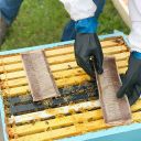 FormicPro 68,2 g – 2 dávky (4 proužky) Thumb