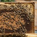 Celoplastový rámek r.m. 39x24 - 3 gen. - termoplast - hnědý Thumb