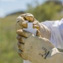 Calistrip Biox 6,44 g - 10 pásků Thumb