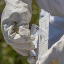 Calistrip Biox 6,44 g - 10 pásků Thumb