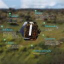 Calistrip Biox 6,44 g - 10 pásků Thumb