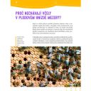 Proč se včelám potí nohy a poslouchají kolenem - Jürgen Tautz Thumb