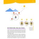 Proč se včelám potí nohy a poslouchají kolenem - Jürgen Tautz Thumb