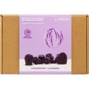 Kreativní sada na výrobu svíček – Levandulová Thumb