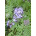 33102-svazenka-2.jpg Thumb