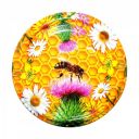 150138-vicko.jpg Thumb