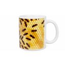 2XX83953a1.jpg Thumb