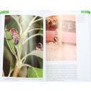 149008-fenomenalni-vcely-2.jpg Thumb