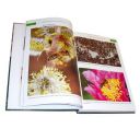 Fenomenální včely J.T. Thumb