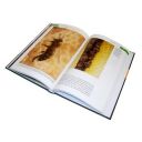 Fenomenální včely J.T. Thumb