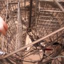 Medomet Lysoň OPTIMA 4 r. zvrat. 12/230V - P72 - 39x24 Thumb