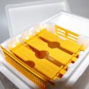 Oplodňáček - Mellarius - na 1 matku Thumb