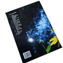 DWV-B Hlavní příčina úhynů včelstev v srdci Evropy Thumb