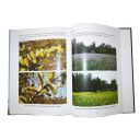 DWV-B Hlavní příčina úhynů včelstev v srdci Evropy Thumb