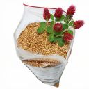 Jetel inkarnát - 0,5 kg Thumb