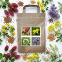 Nektarodárná směs Harmony pro včely jednoletá typ 1 - 1 kg Thumb