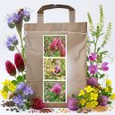 Nektarodárná směs pro včely jednoletá jarní - 1 kg Thumb