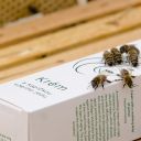 krem-s-kapickou-jedu-024.jpg_1 Pleva krém s kapičkou včelího jedu - 50g Thumb