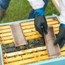 FormicPro 68,2 g – 2 dávky (4 proužky) Thumb