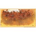 Pohlednice SIPA "prázdná plástev" Thumb