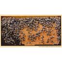 Pohlednice SIPA "tmavá plástev" Thumb