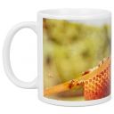 Hrneček ApiSina "rámek" Thumb