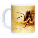 Hrneček ApiSina "včela" Thumb