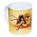 Hrneček ApiSina "včela" Thumb