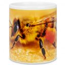 Hrneček ApiSina "včela" Thumb