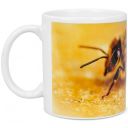 Hrneček ApiSina "včela" Thumb