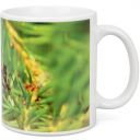 Hrneček ApiSina "medovice" Thumb