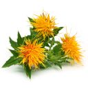 svetlice-barvirska-0d7.jpg_1 Světlice barvířská saflor - 0,5 kg Thumb