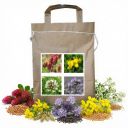 Nektarodárná směs Harmony pro včely jednoletá typ 3 - 1 kg Thumb