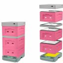 Polystyrenový úl 39 x 24 lakovaný, varroadno - typ II - růžová Thumb