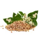 pohanka-obecna-02.jpg_1 Pohanka obecná - 0,5 kg Thumb