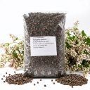 Pohanka obecná - 0,5 kg Thumb