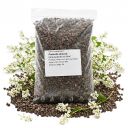 Pohanka obecná - 0,5 kg Thumb