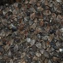 pohanka-obecna-05.jpg_1 Pohanka obecná - 0,5 kg Thumb