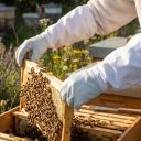 Rukavice včelařské - vepřovka - vel.: 6-12 Thumb