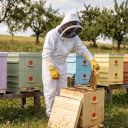 Kombinéza včelařská kosmonaut s kuklou vel.: S - XXL Thumb